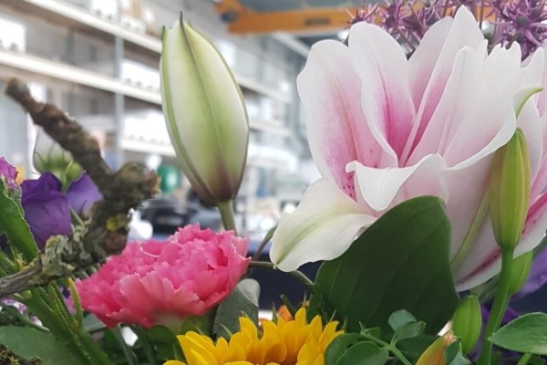 Summer holidays |Deno Compressors B.V.